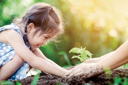 Seed Saving Libraries